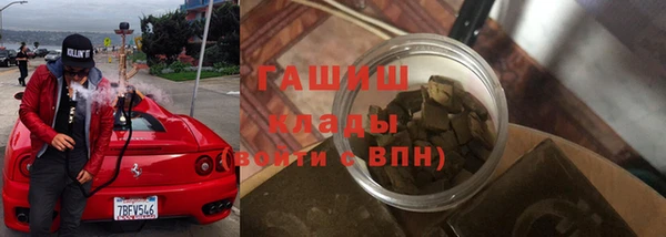 шишки Слюдянка