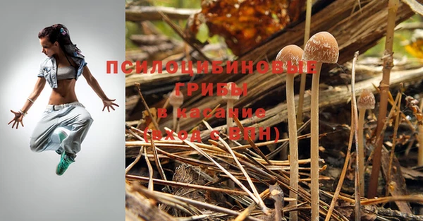 экстази Волосово