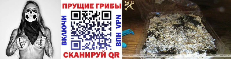 Псилоцибиновые грибы прущие грибы  Карабаш 