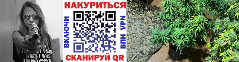 Шишки марихуана сатива  Карабаш 